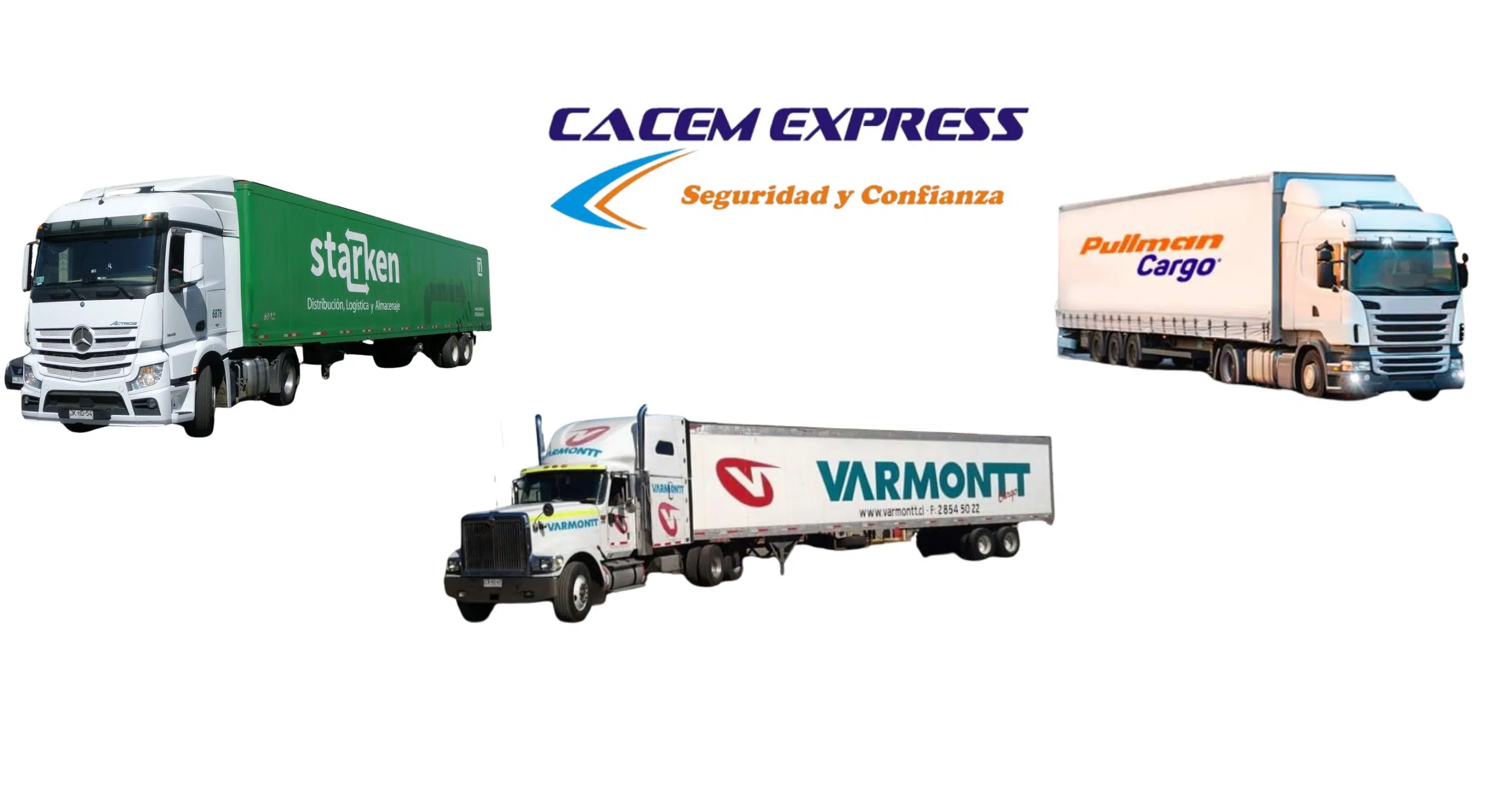 baner oficial shova (2)